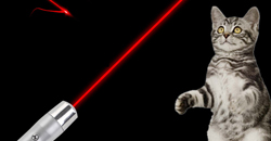 5mW rode laserpointer spelen met uw huisdieren